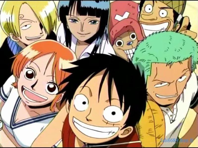 One Piece crew group portrait