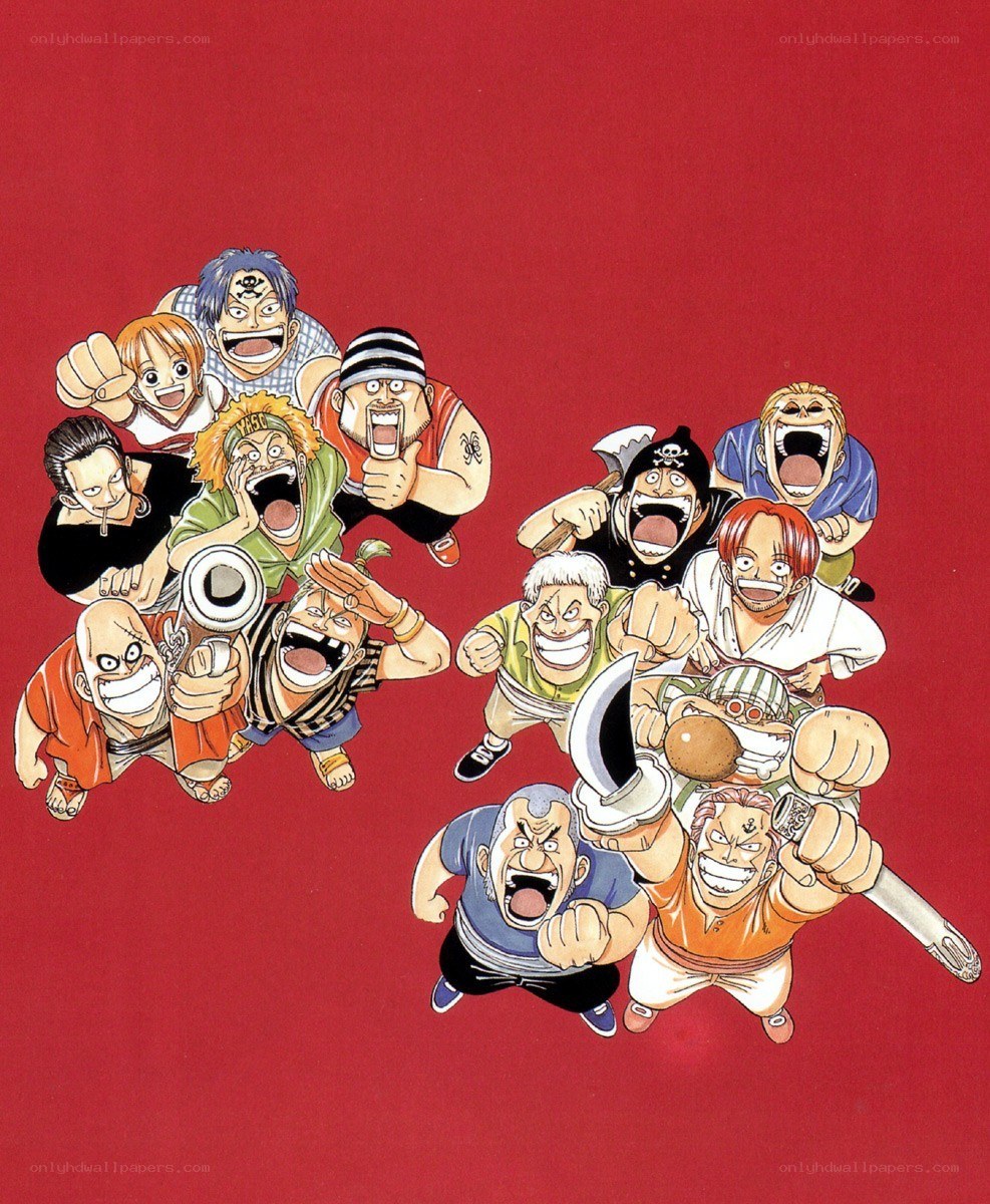 One Piece crew group portrait