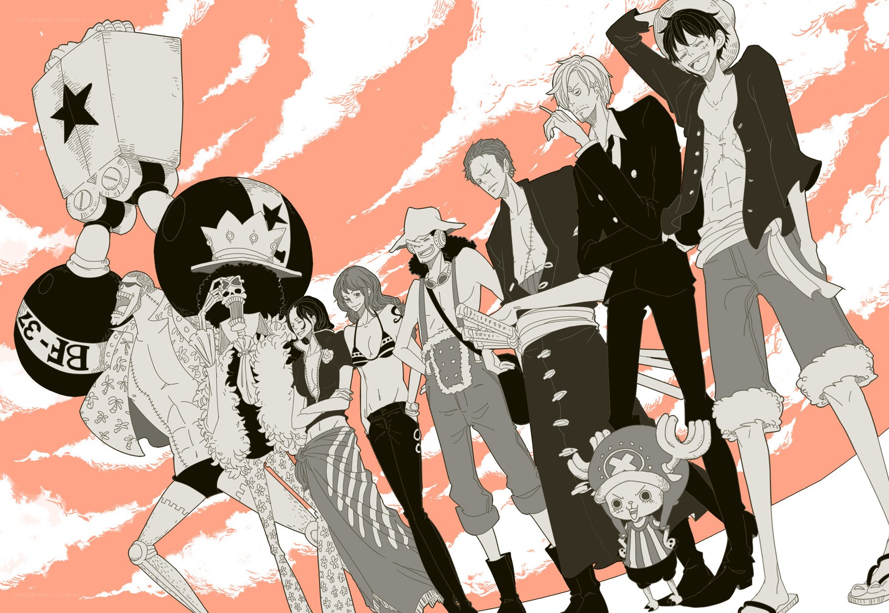 One Piece crew group portrait