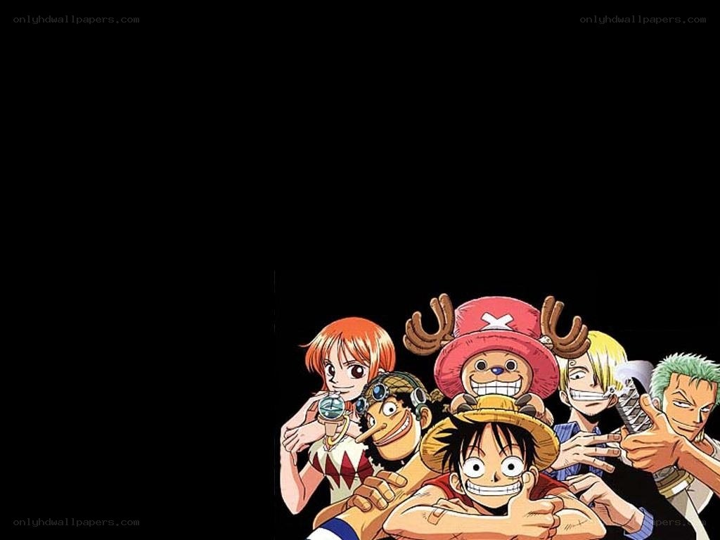 One Piece crew group portrait