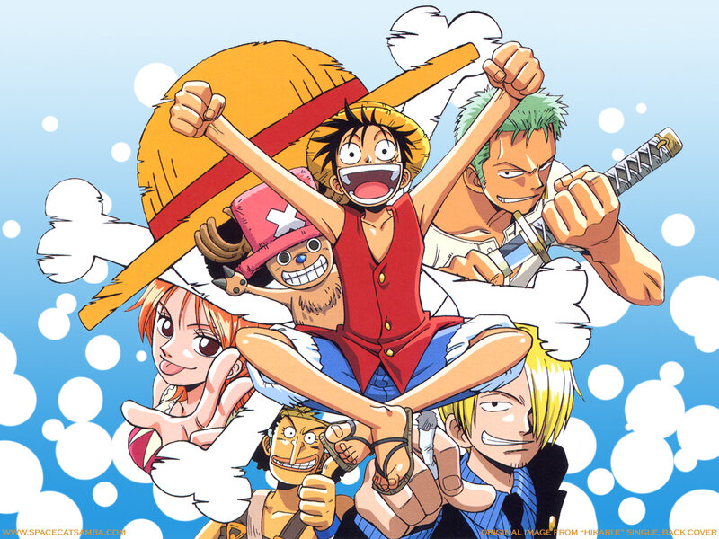 One Piece crew group shot
