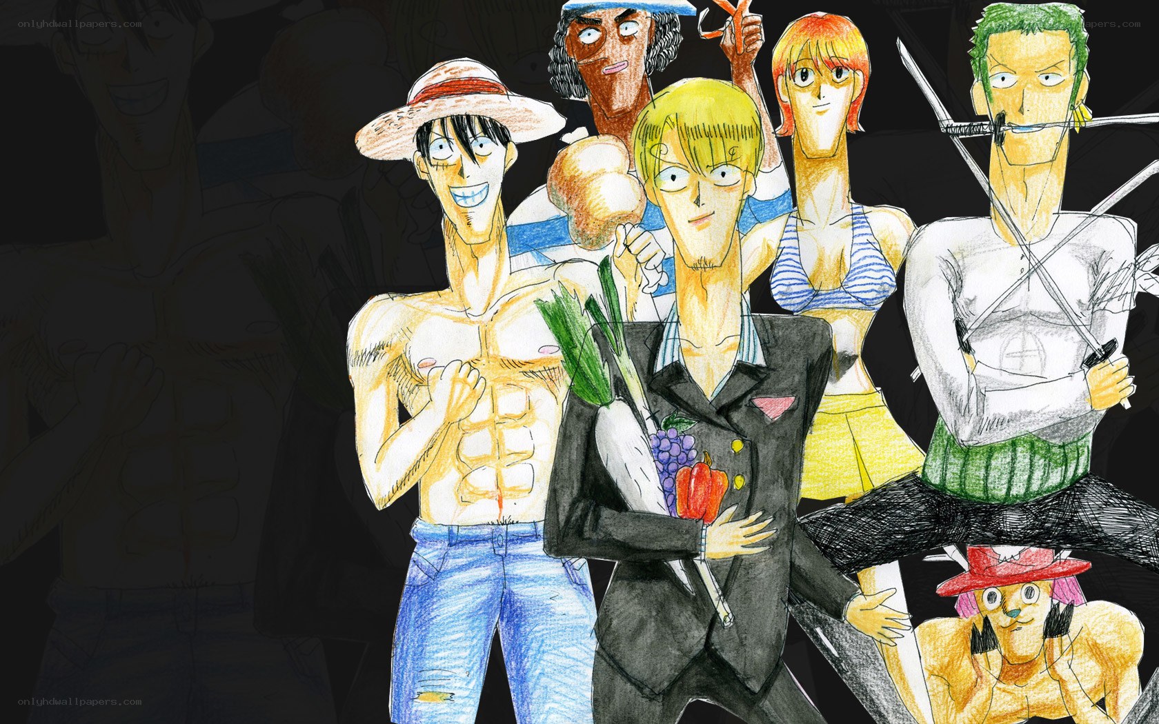 One Piece crew illustration