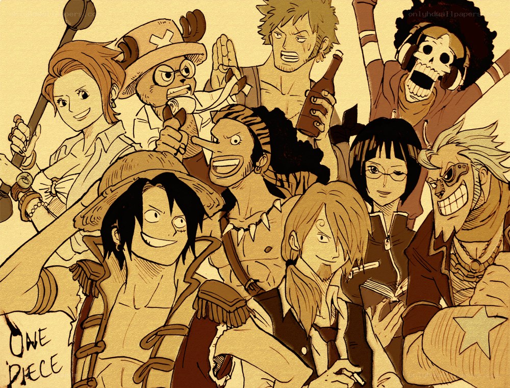 One Piece crew illustration