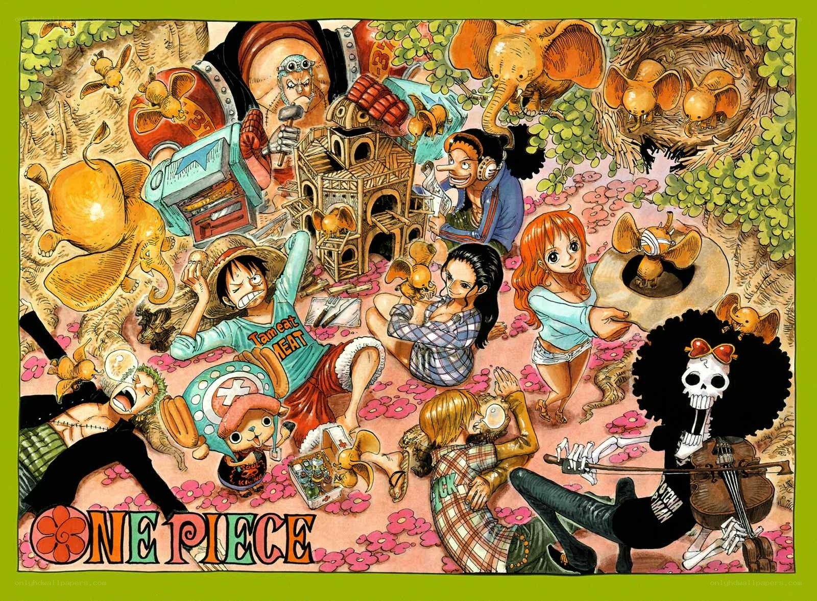 One Piece crew illustration