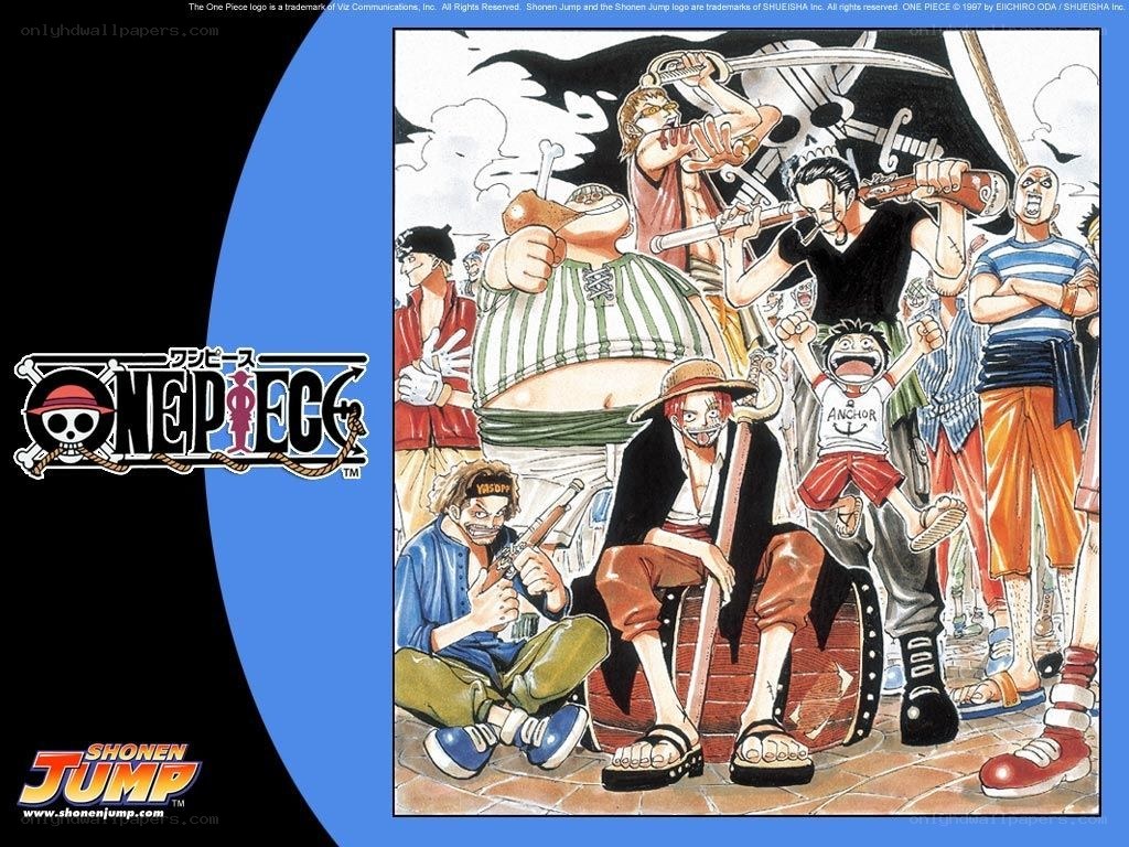One Piece crew illustration