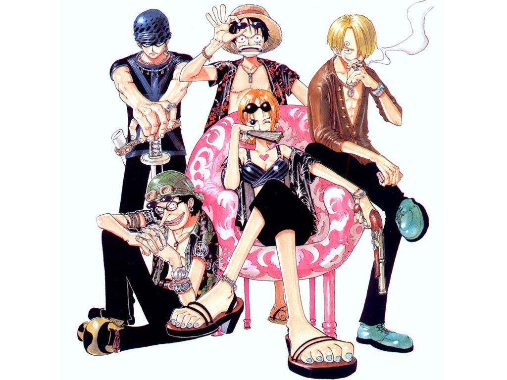 One Piece crew illustration