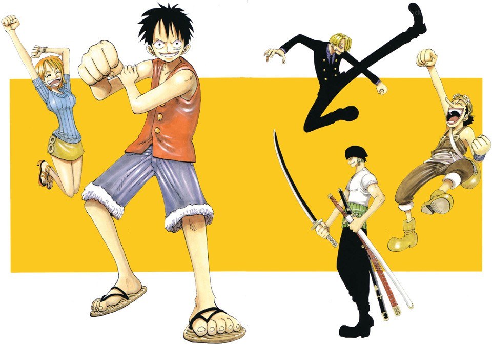 One Piece crew illustration