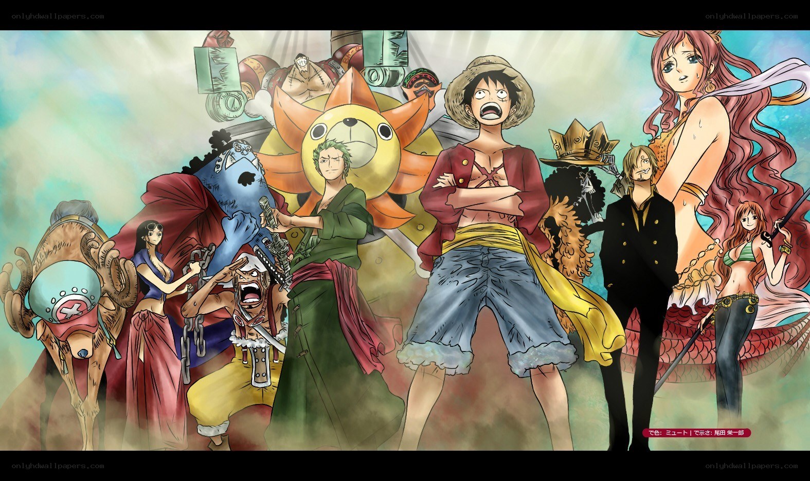 One Piece crew illustration
