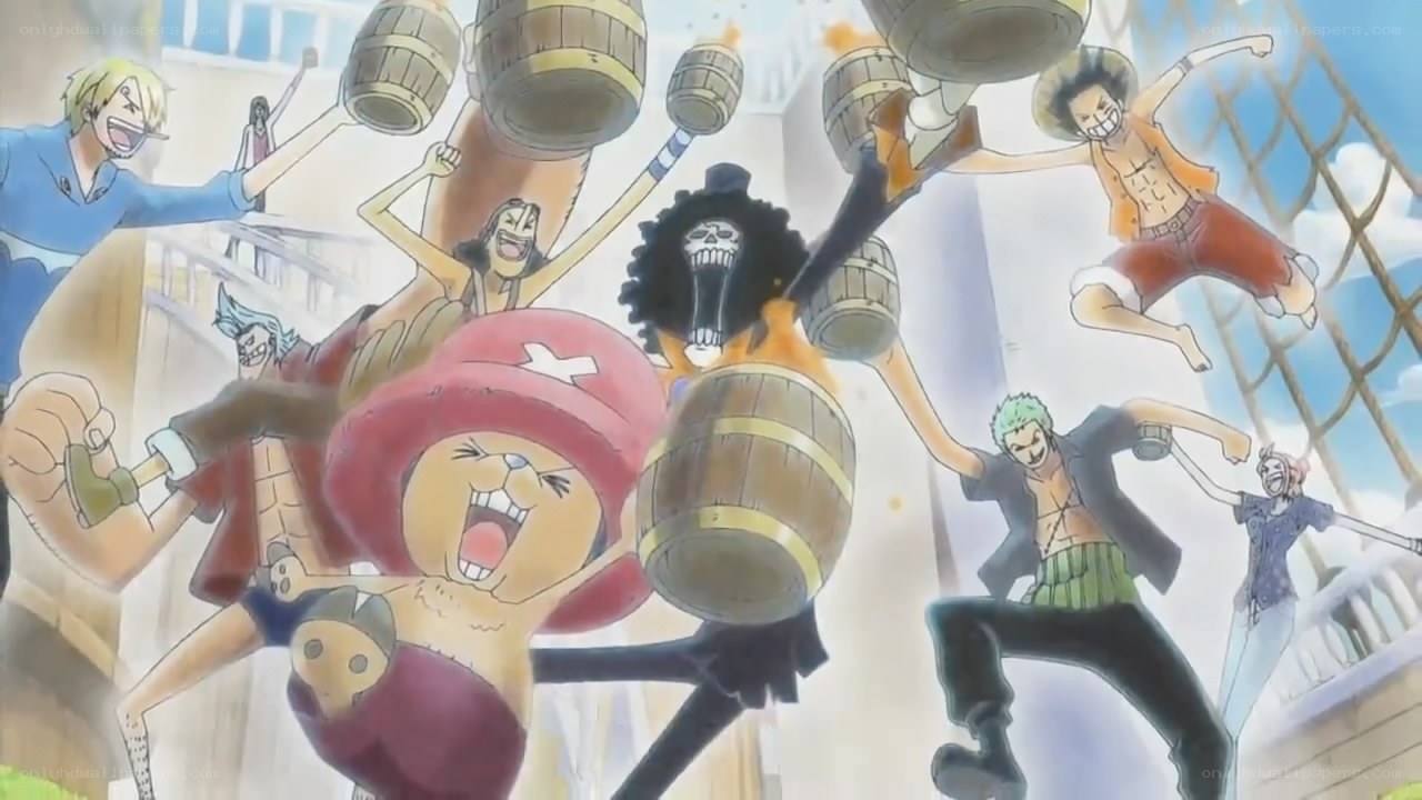 One Piece crew in action