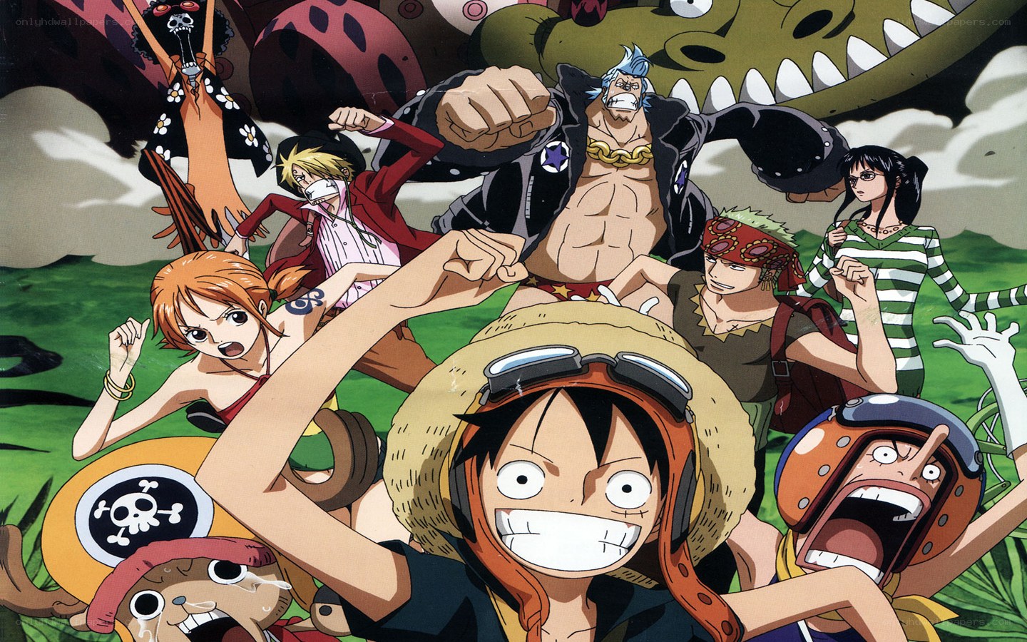 One Piece crew in action