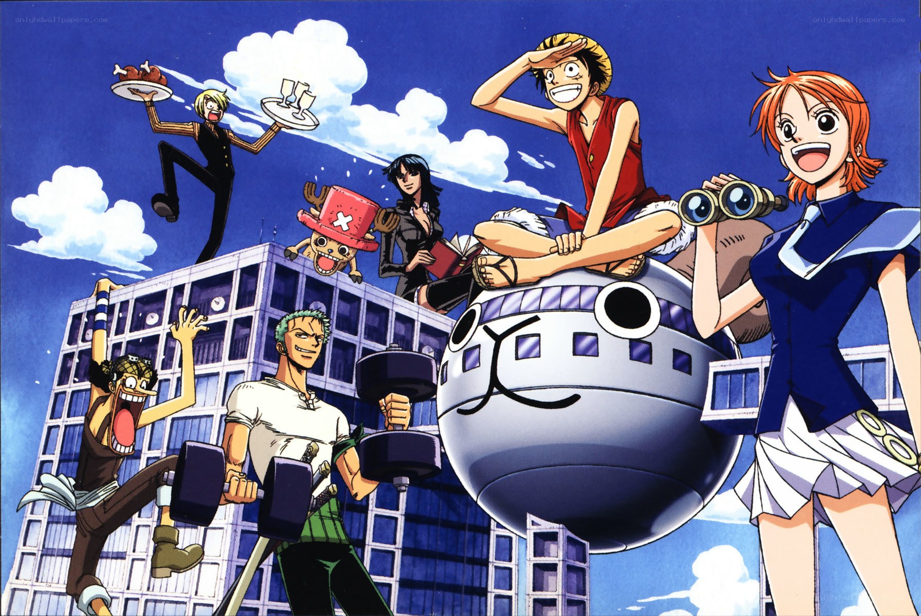One Piece crew in action