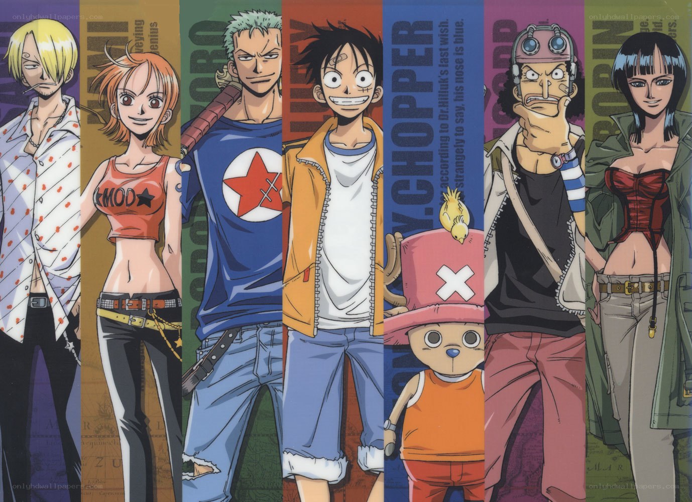 One Piece crew lineup