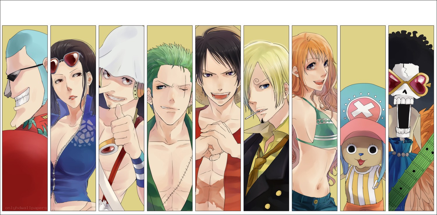 One Piece crew lineup