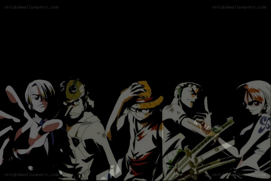 One Piece crew lineup
