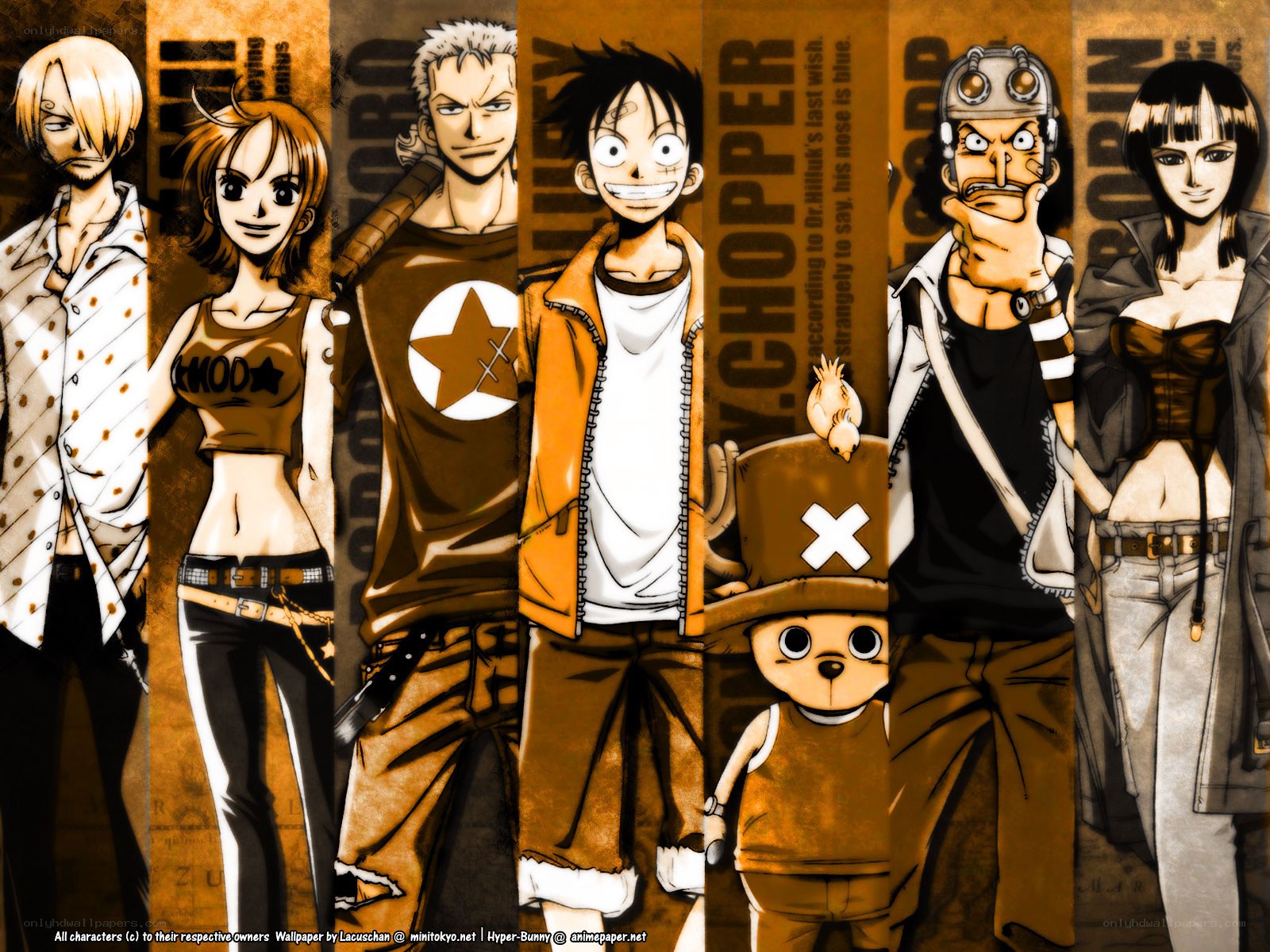 One Piece crew lineup