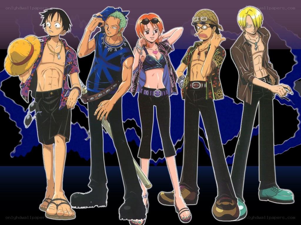 One Piece crew lineup