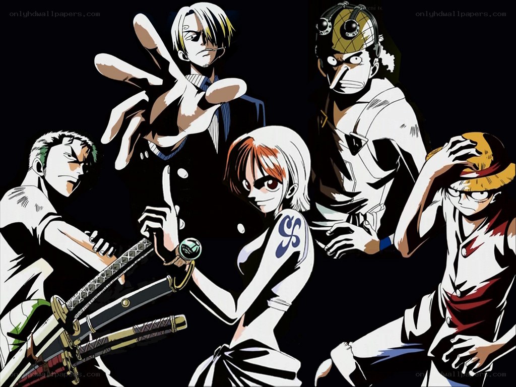 One Piece crew members
