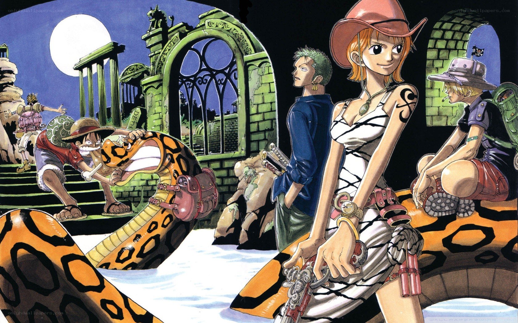 One Piece crew on a snake bridge