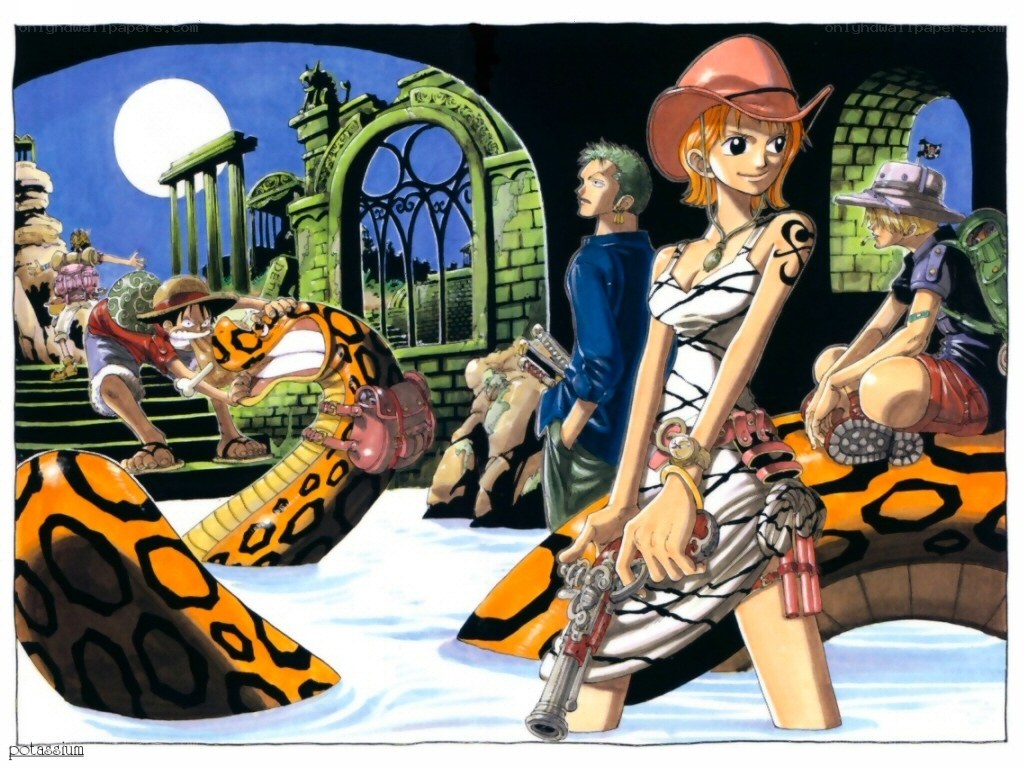 One Piece crew on a snake bridge