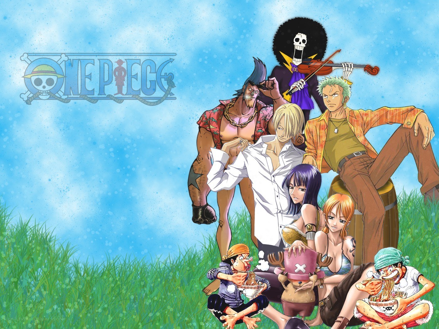One Piece crew on grass