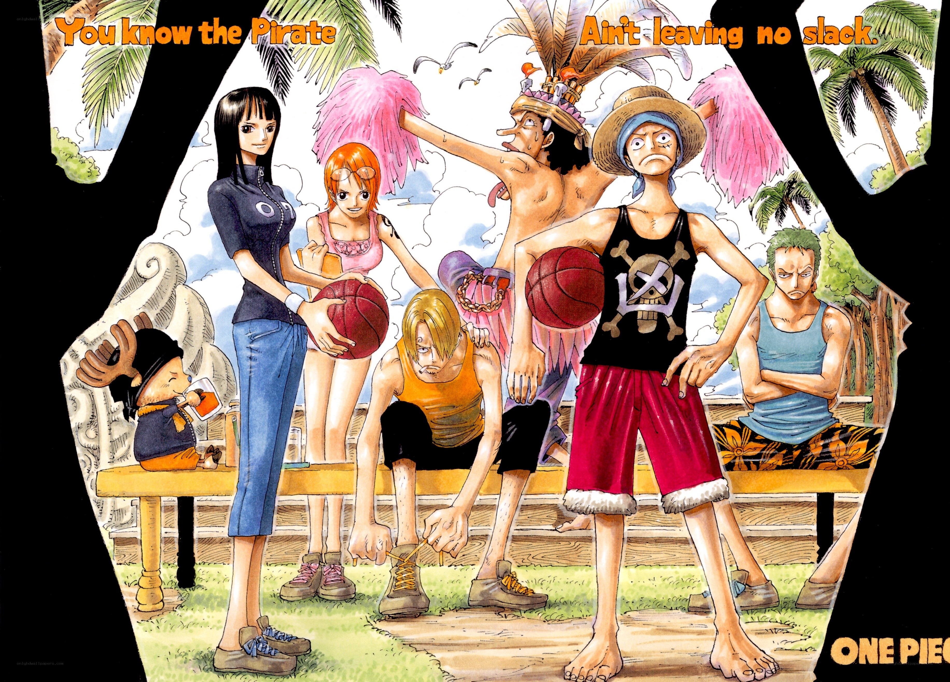 One Piece crew on island