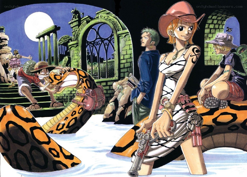 One Piece crew on snake bridge