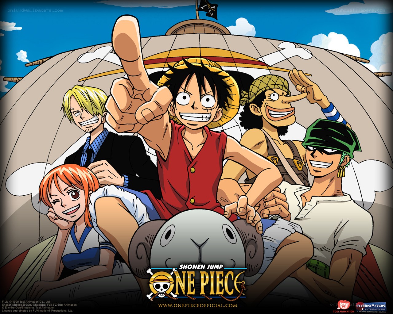 One Piece crew on the Going Merry