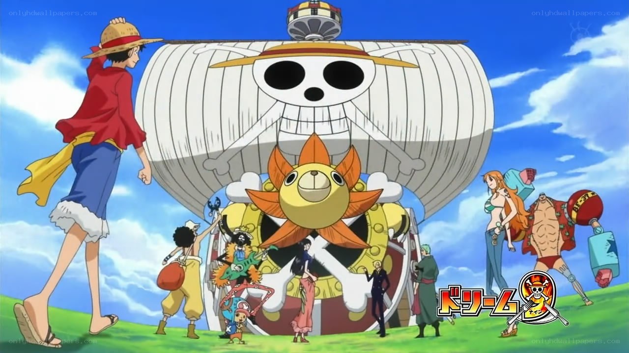 One Piece crew on the Going Merry