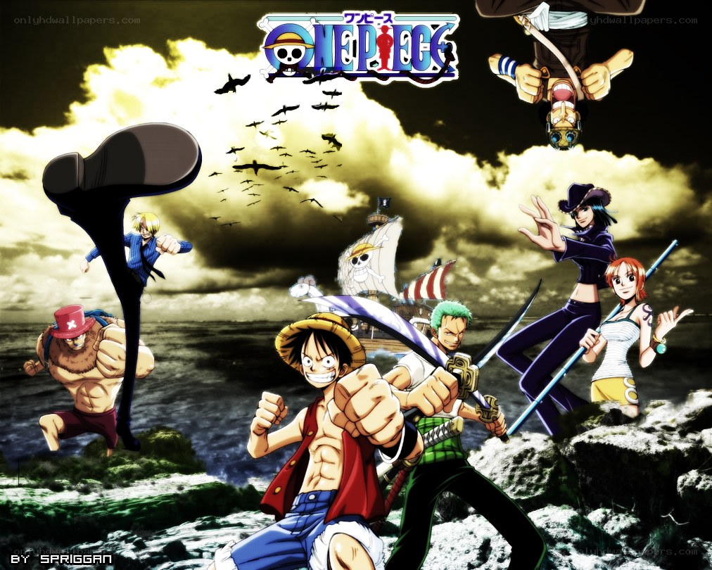 One Piece crew on the rocks