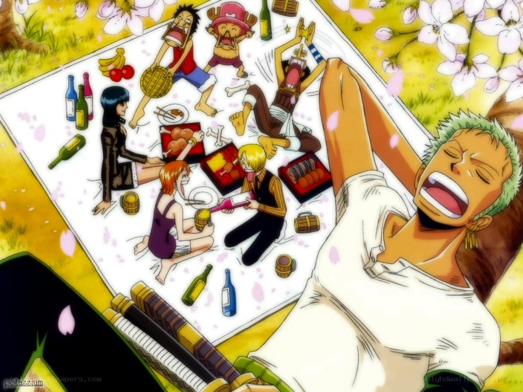 One Piece crew picnic