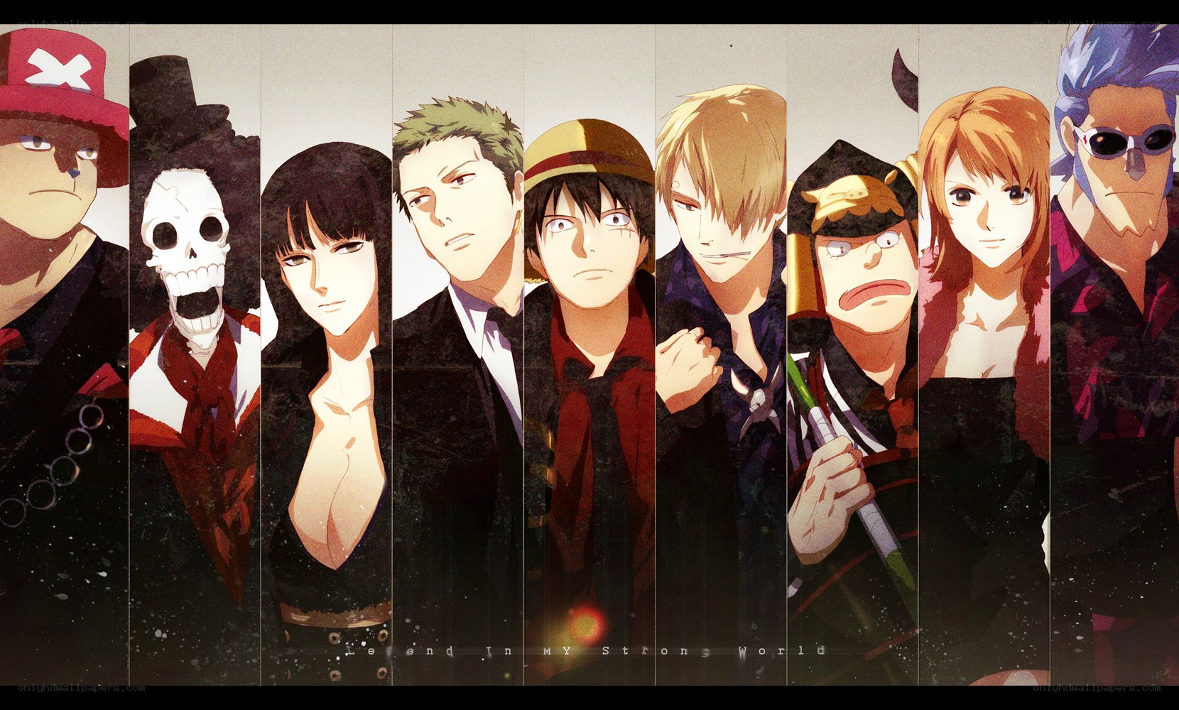 One Piece crew portrait