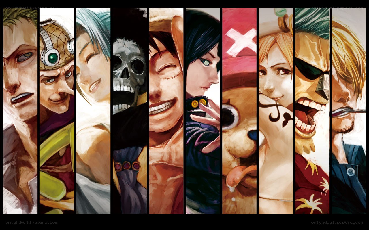 One Piece crew portrait