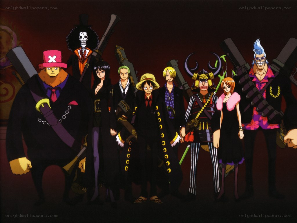 One Piece crew portrait