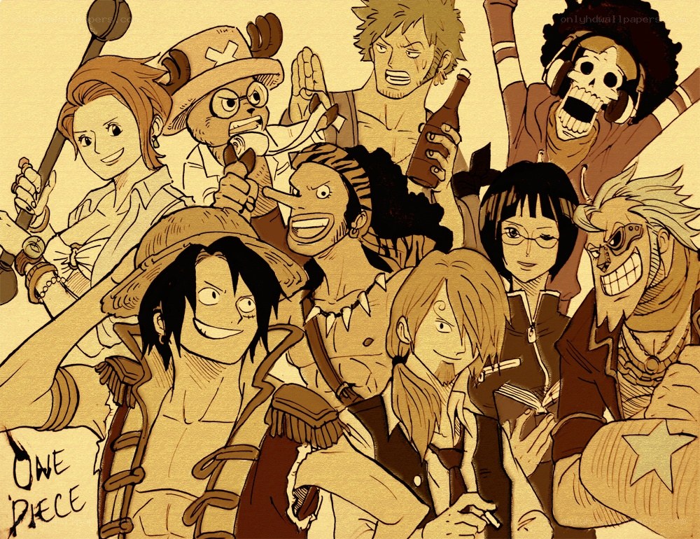 One Piece crew portrait
