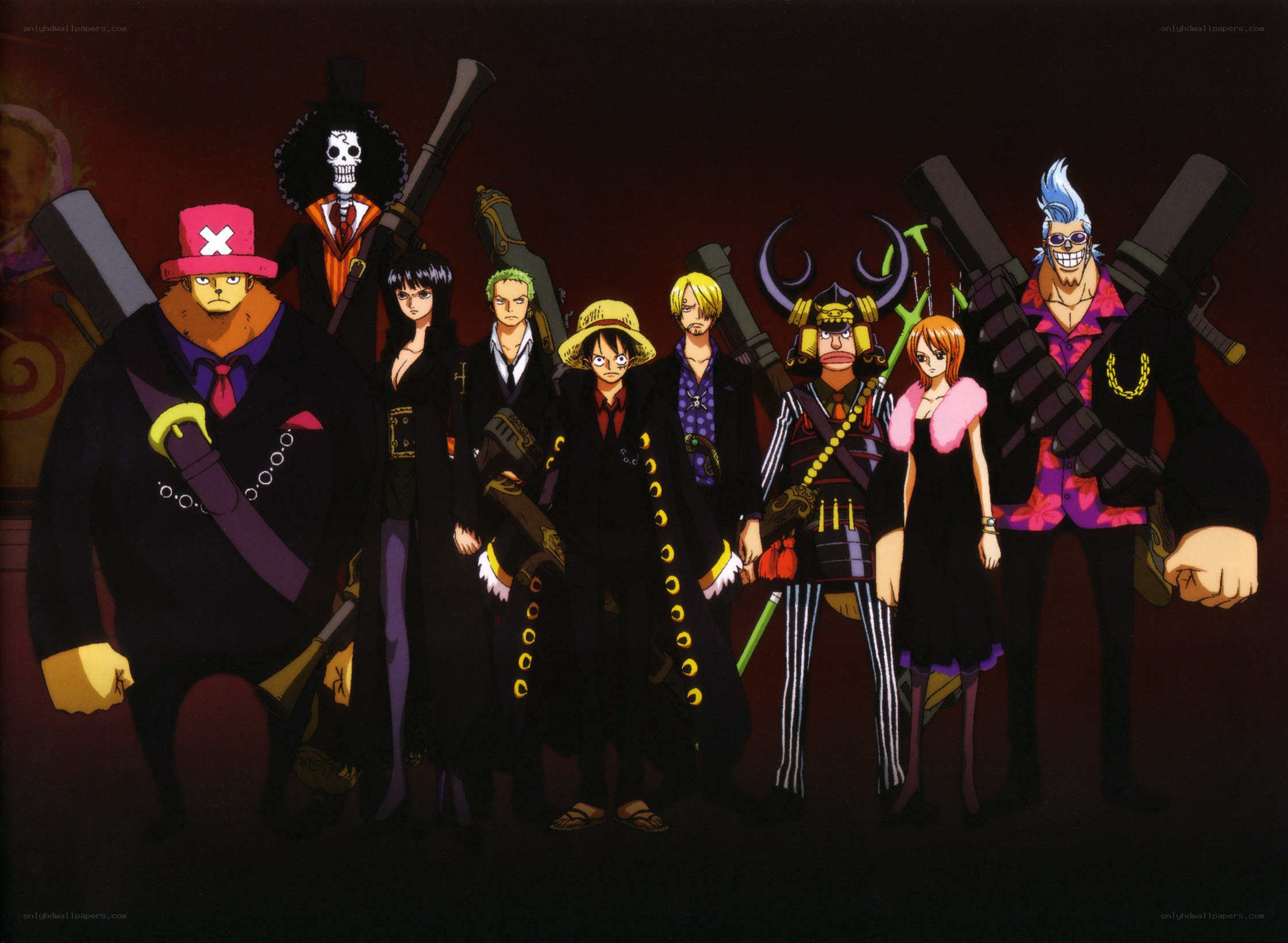 One Piece crew portrait