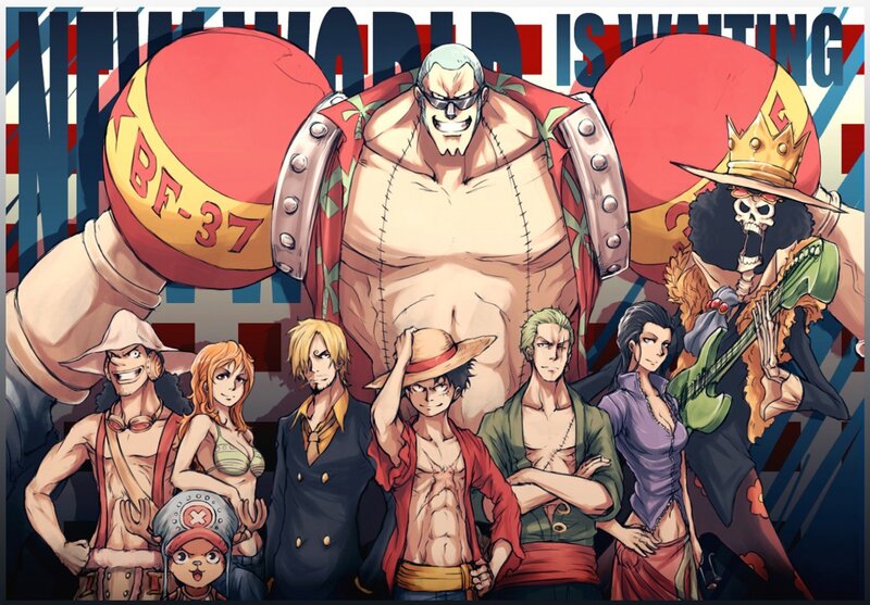 One Piece crew portrait