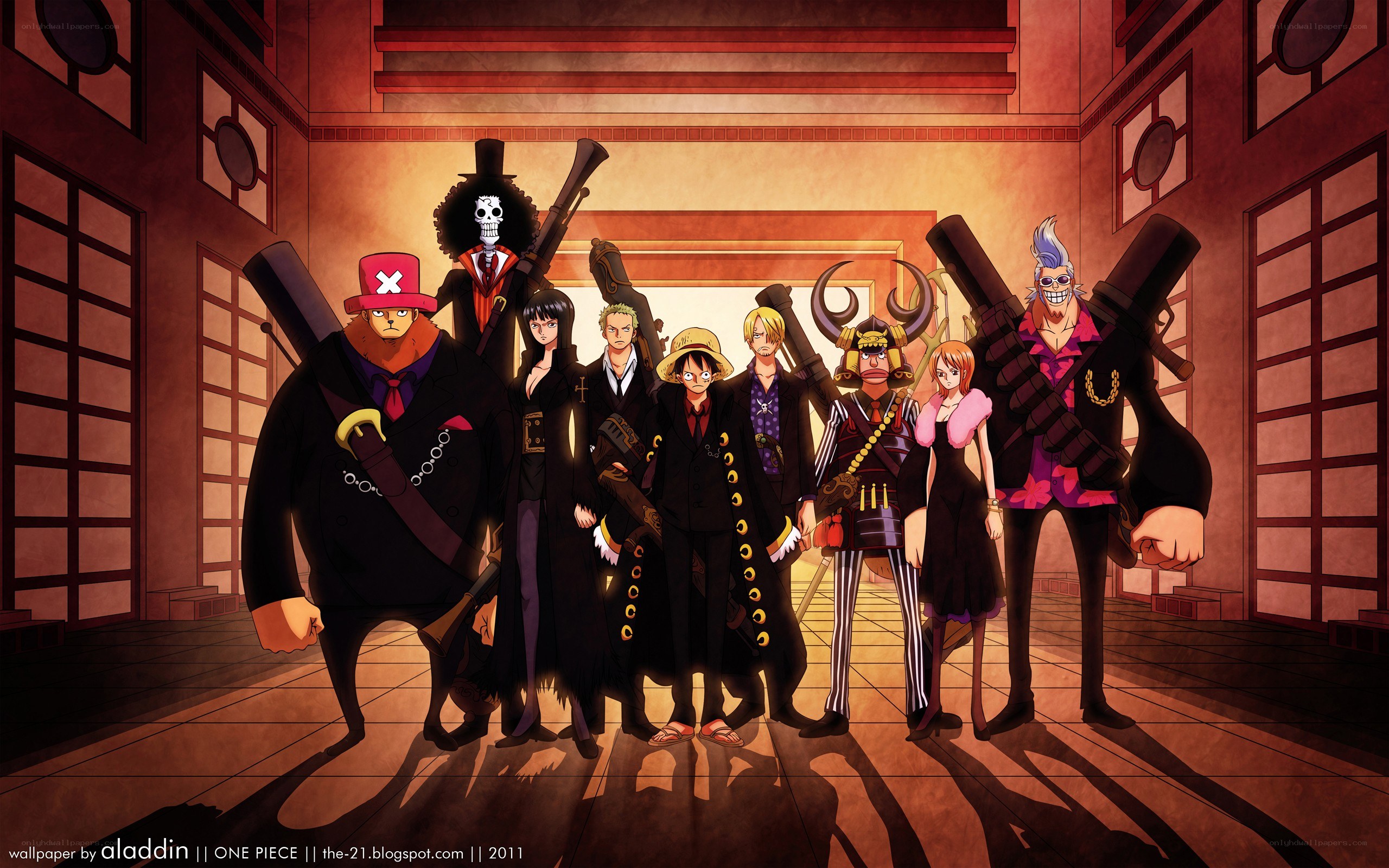 One Piece crew portrait