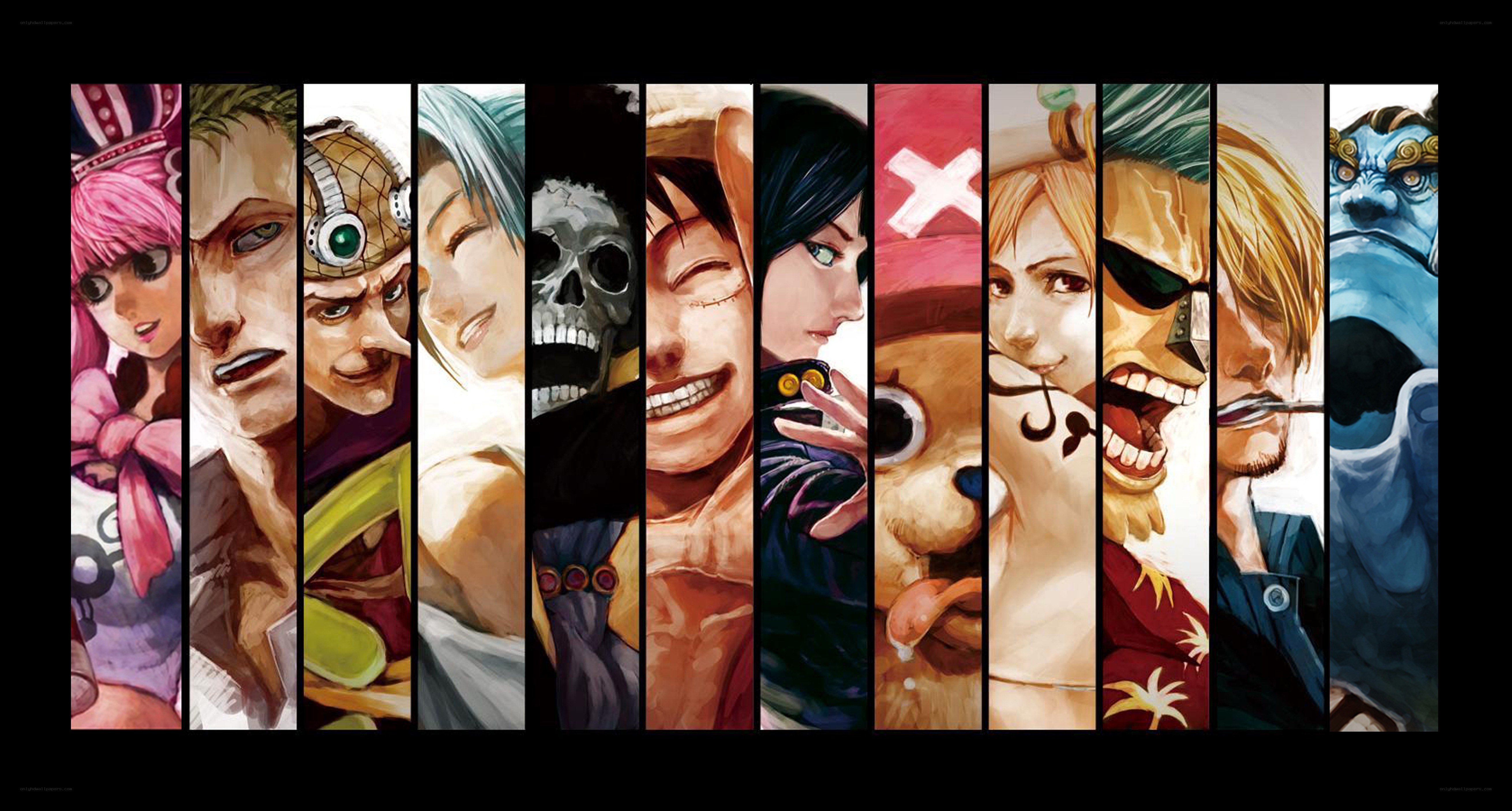 One Piece crew portrait