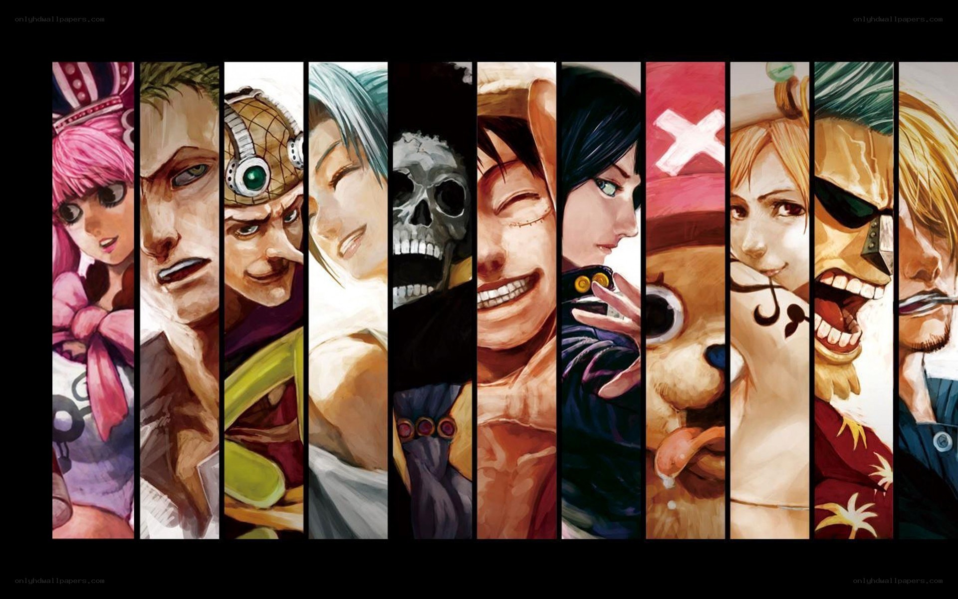 One Piece crew portrait