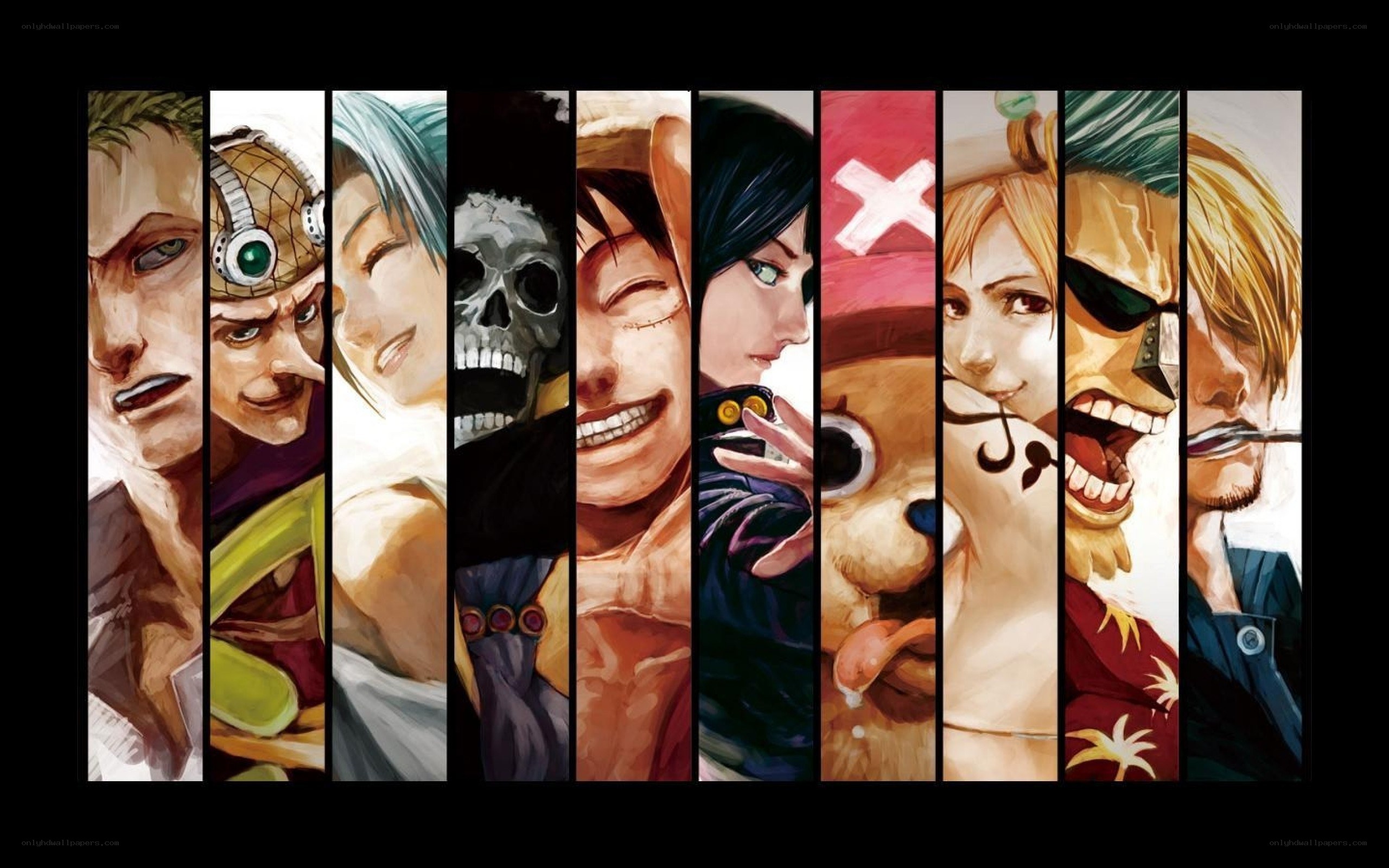 One Piece crew portrait