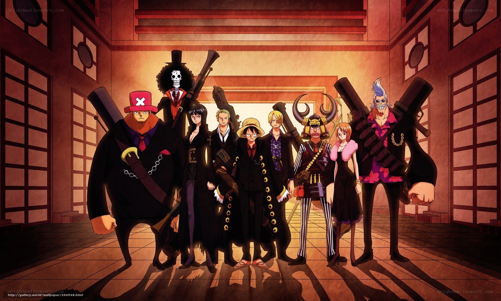 One Piece crew portrait