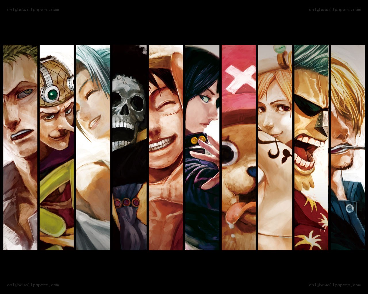 One Piece crew portrait