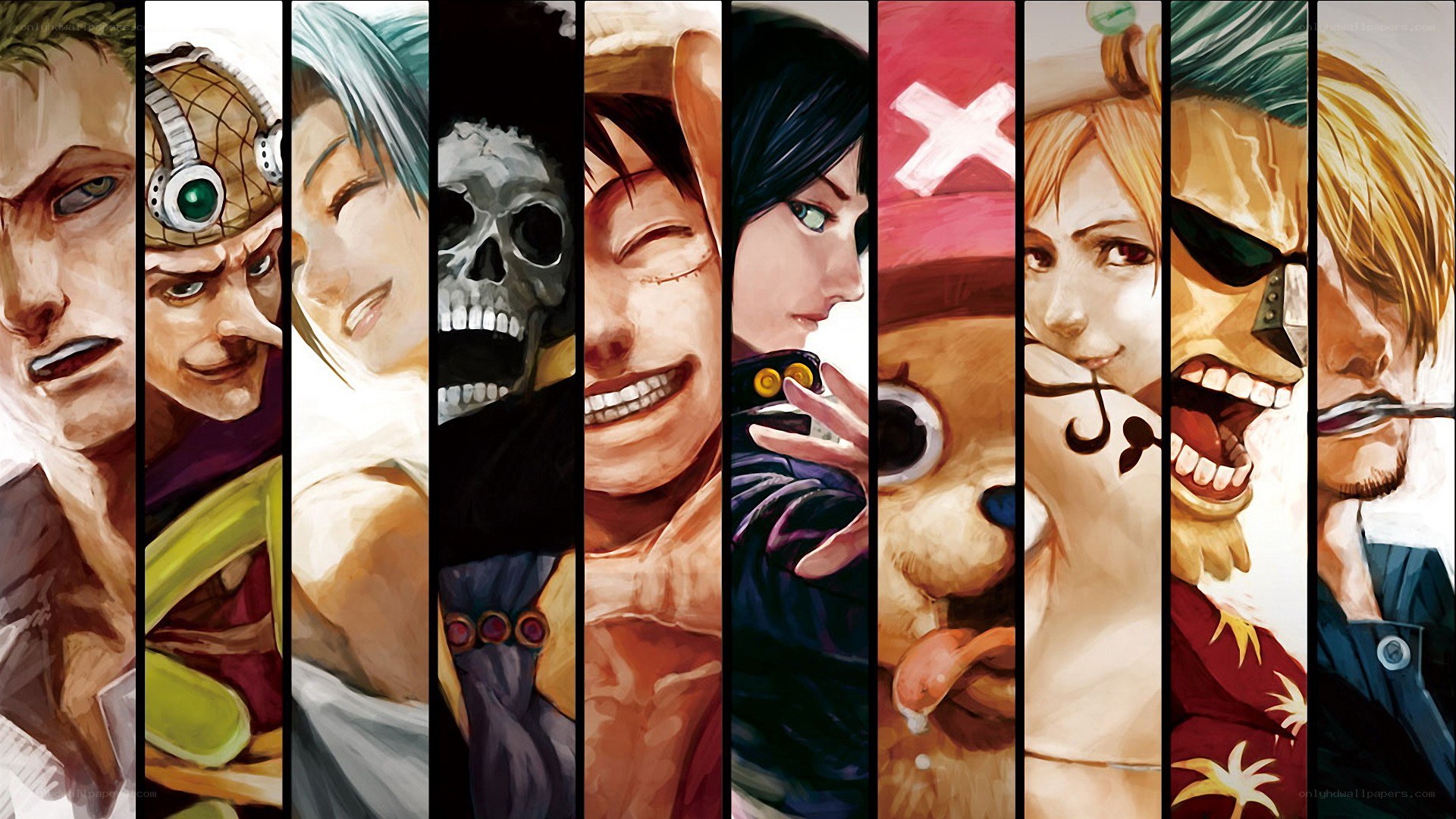 One Piece crew portrait collage
