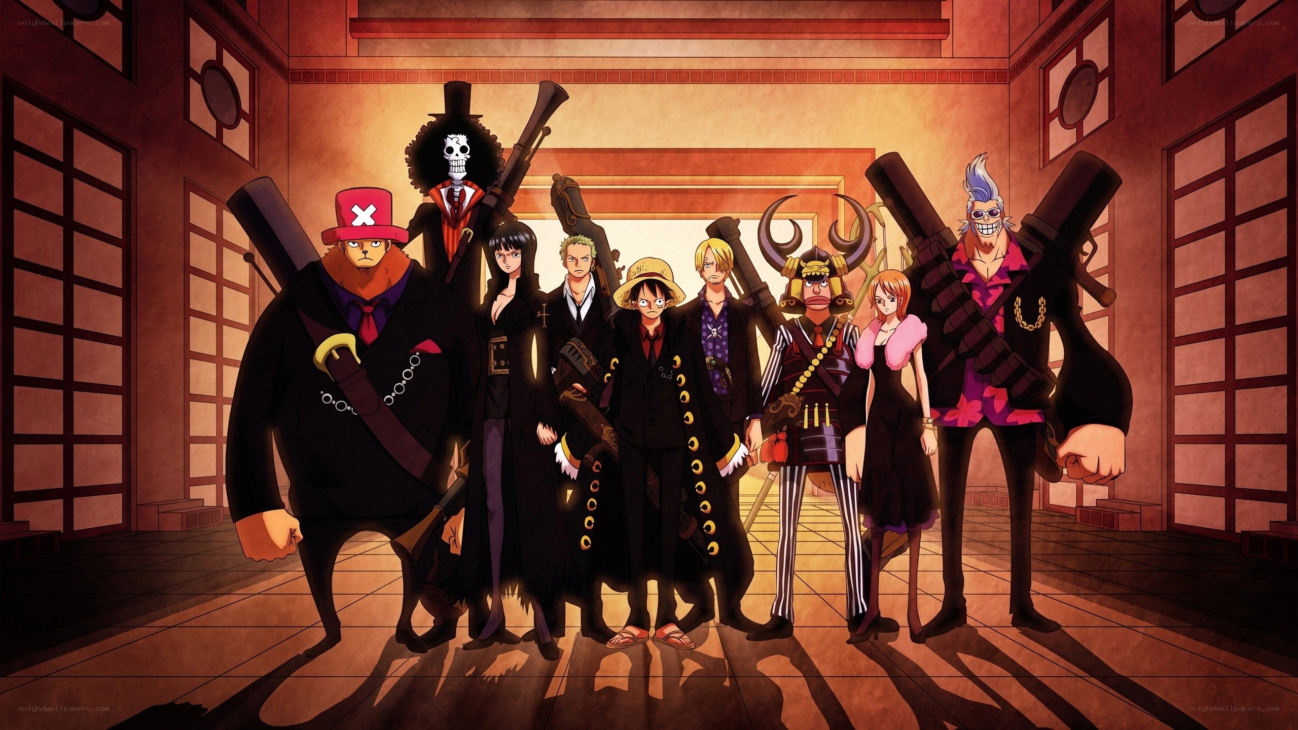 One Piece crew portrait