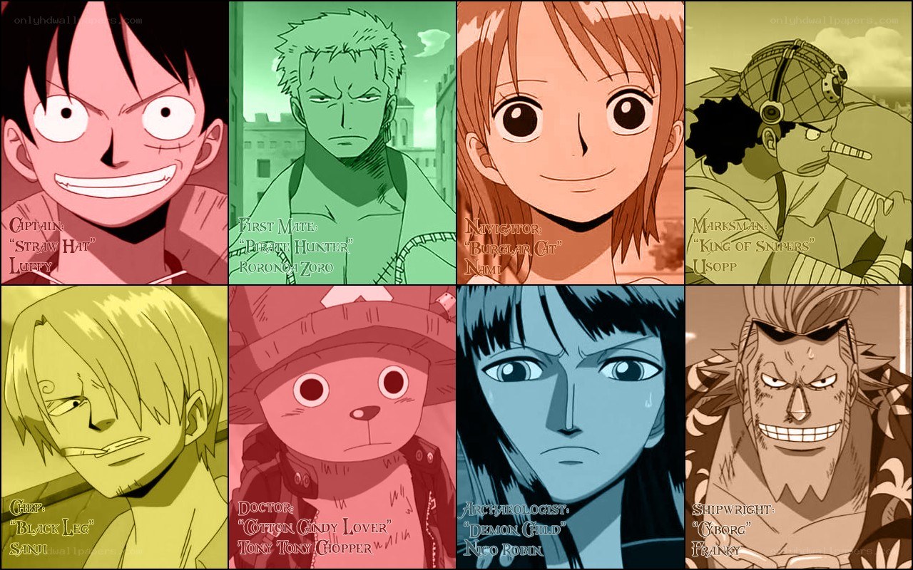 One Piece crew portraits