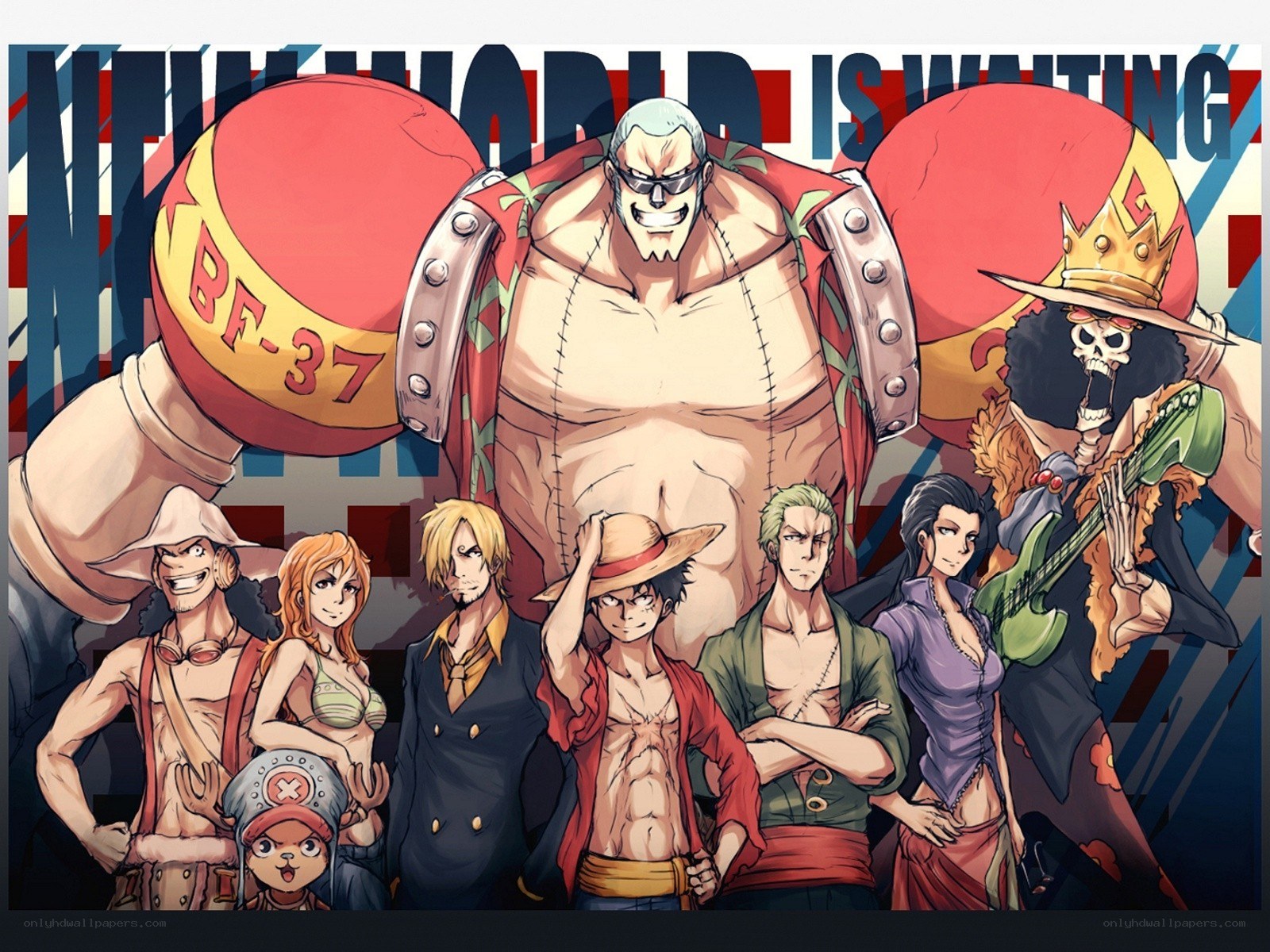 One Piece crew poster