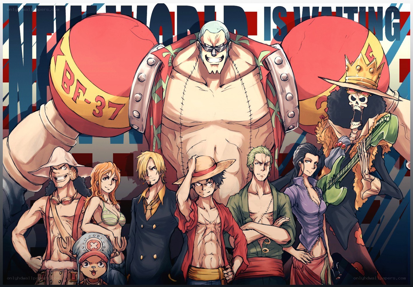 One Piece crew poster