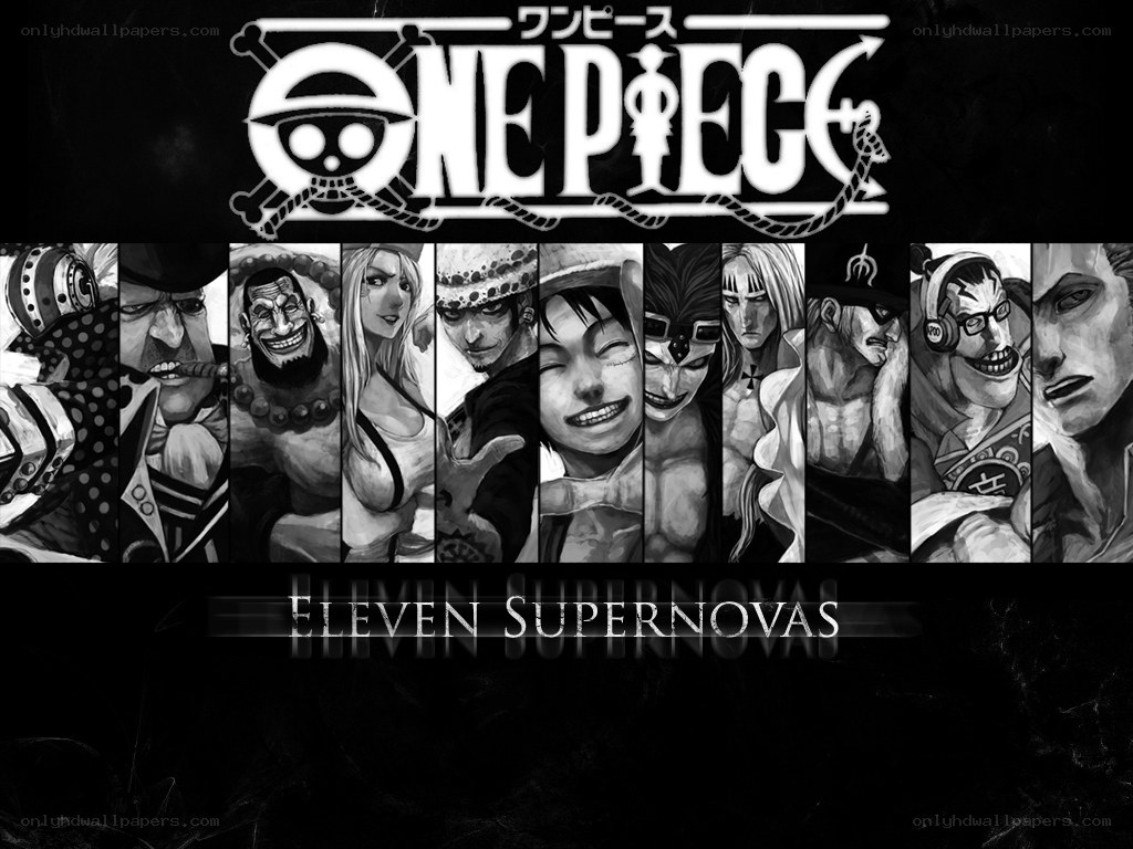 One Piece Eleven Supernovas