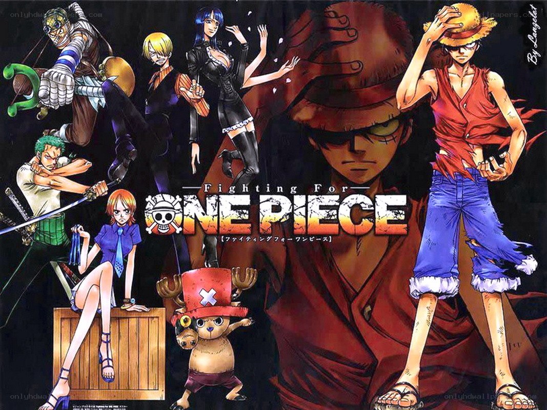 One Piece Fighting For