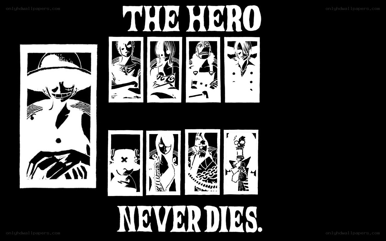 One Piece hero lineup
